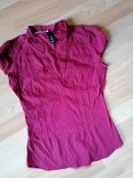 Damen Kurzarm Bluse Shirt Gr. XS (34) Niedersachsen - Uslar Vorschau