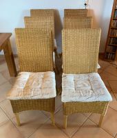 6x Rattan Esszimmer Stühle incl. Polsterauflagen! Schleswig-Holstein - Schmalfeld Vorschau