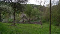 Suche Grundstück, Garten, Obstbaumflächen, Wiese Bayern - Oberpleichfeld Vorschau