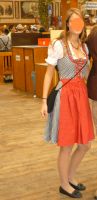 Dirndl Tracht Bayern - Herzogenaurach Vorschau