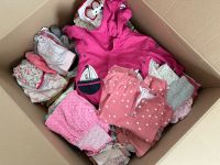 Riesiges Baby Komplettpaket 50-92 Sachsen-Anhalt - Langenweddingen Vorschau