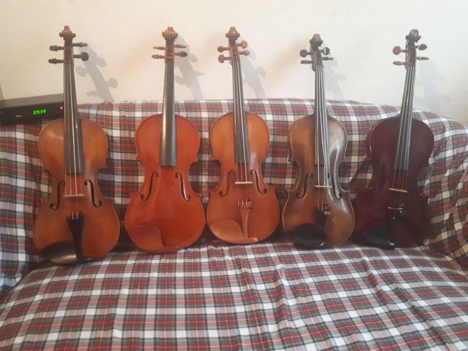 Alte Geigen , Bögen , und Cello in Worms