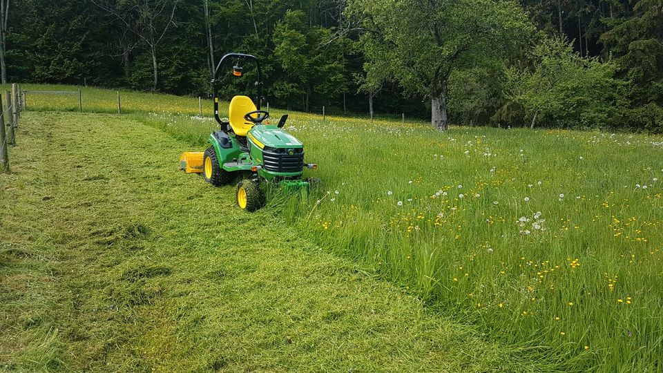 Rasen Garten Mähen Rasenmähen Heckenschnitt Gartenpflege in Schorndorf