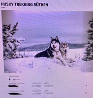 Mydays Gutschein Husky Trekking 2 Personen Wuppertal - Elberfeld Vorschau