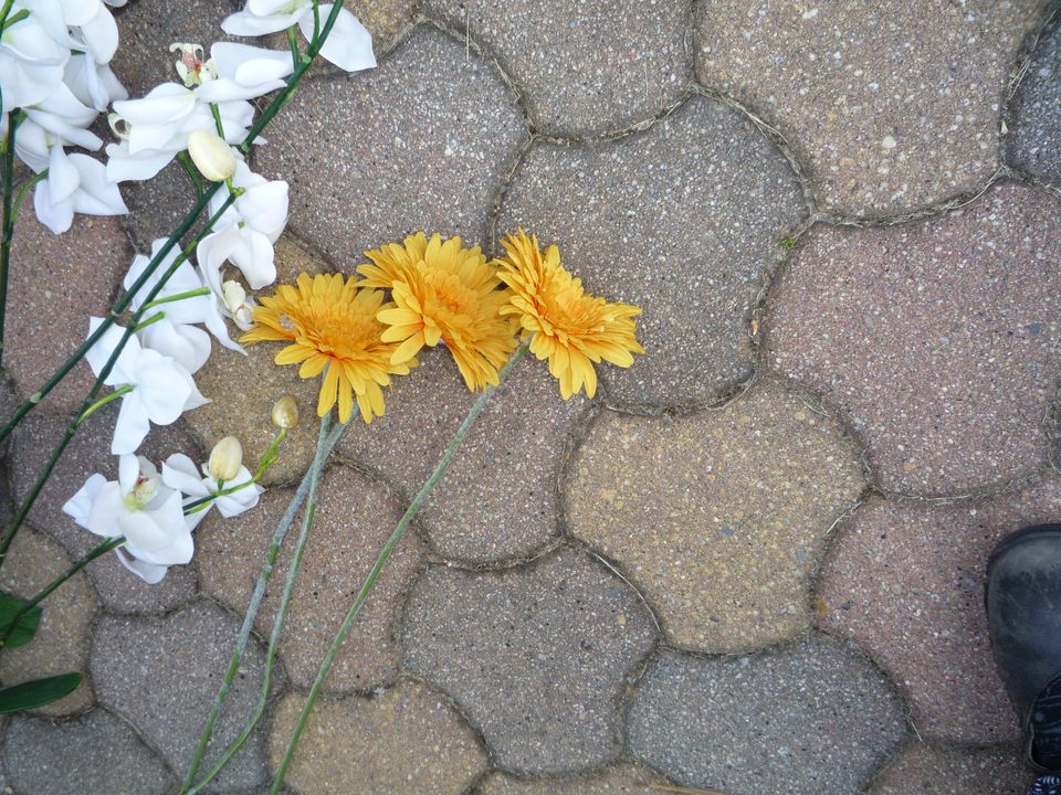 Kunstblumen Rosen, Orchideen, Gerbera bunt diverse Deko in Dresden