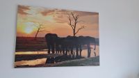 Bild "Afrika" auf Hartschaumplatte, 100x70cm, NEU Baden-Württemberg - Wimsheim Vorschau