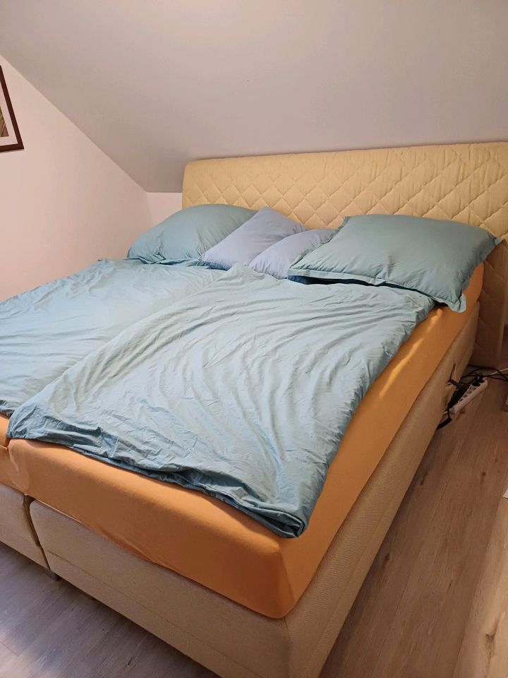 Boxspringbett 180 x 200 cm (elektrisch verstellbar) in Scheeßel