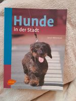 Ulmer Hunde in der Stadt Sarah Whitehead Buch Kreis Ostholstein - Grube Holst Vorschau