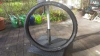 Schwalbe Nobby Nic 29 x 2,25 Faltreifen München - Untergiesing-Harlaching Vorschau