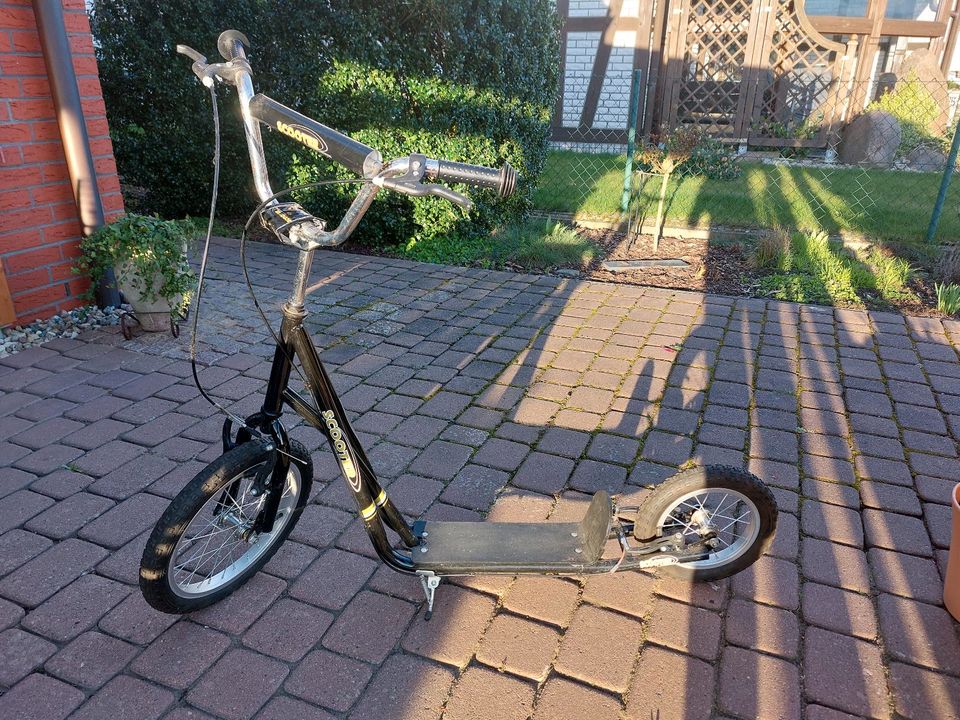 Scooter Roller mit Luftreifen in Hansestadt Seehausen