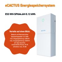 5,12 kWh ECACTUS Speichersystem für 6200 W inkl. Wechselrichter Mecklenburg-Vorpommern - Torgelow Vorschau