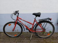 Mountain Bike bianchi retro Baden-Württemberg - Freiburg im Breisgau Vorschau