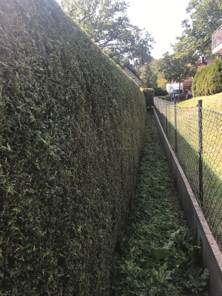 Gärtner/Gartenpflege/Hecke schneiden/Rasen mähen/Vertikutieren in Geesthacht