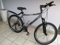 Bianchi DOSS 6300 Trekking Fahrrad 28 zoll Rheinland-Pfalz - Neuhofen Vorschau