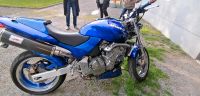 Gepflegte Honda Hornet 600ter Nordrhein-Westfalen - Halver Vorschau