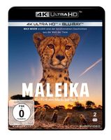 Maleika 4K UHD + Blu-ray Sachsen - Altmittweida Vorschau