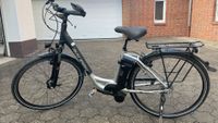 e-Bike Raleigh - 8-Gang Shimano Nabenschaltung mit Rücktritt Nordrhein-Westfalen - Borchen Vorschau