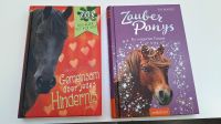 Zauberpony  / Zoe fas Glück hat vier Hufe Buch Nordrhein-Westfalen - Oelde Vorschau