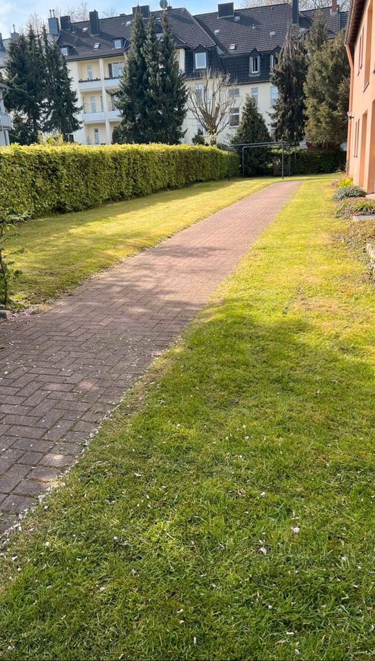 Gebäudereinigung sucht neue Aufträge Garten in Bochum