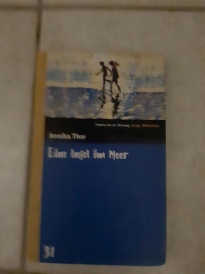 Buch - Eine Insel im Meer in Zeltingen-Rachtig