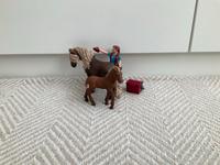 Schleich Set Islandpferd Schleswig-Holstein - Hanerau-Hademarschen Vorschau