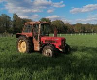 Schlüter Compact 850 V  Allrad     SF 4800 VS Nordrhein-Westfalen - Schermbeck Vorschau