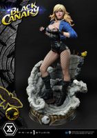 Prime 1 Studio 1/3 Black Canary 69 cm Wuppertal - Langerfeld-Beyenburg Vorschau