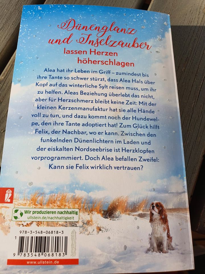 Buch: Winterträume in der kleinen Manufaktur am Meer in Bad Emstal