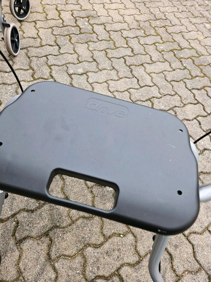 Rollator Gehilfe in Norderstedt