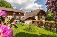 ⭐️ Gasthof Pension ➡️ Thekenkraft  (m/w/x), 94034 Kr. Passau - Passau Vorschau