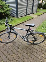 Bergamopunt Trekking Herren Fahrrad 29er Dresden - Seevorstadt-Ost/Großer Garten Vorschau