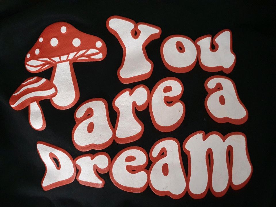 Bershka Damen Sweatshirt/Pullover "You are a Dream" der Größe M in Düren