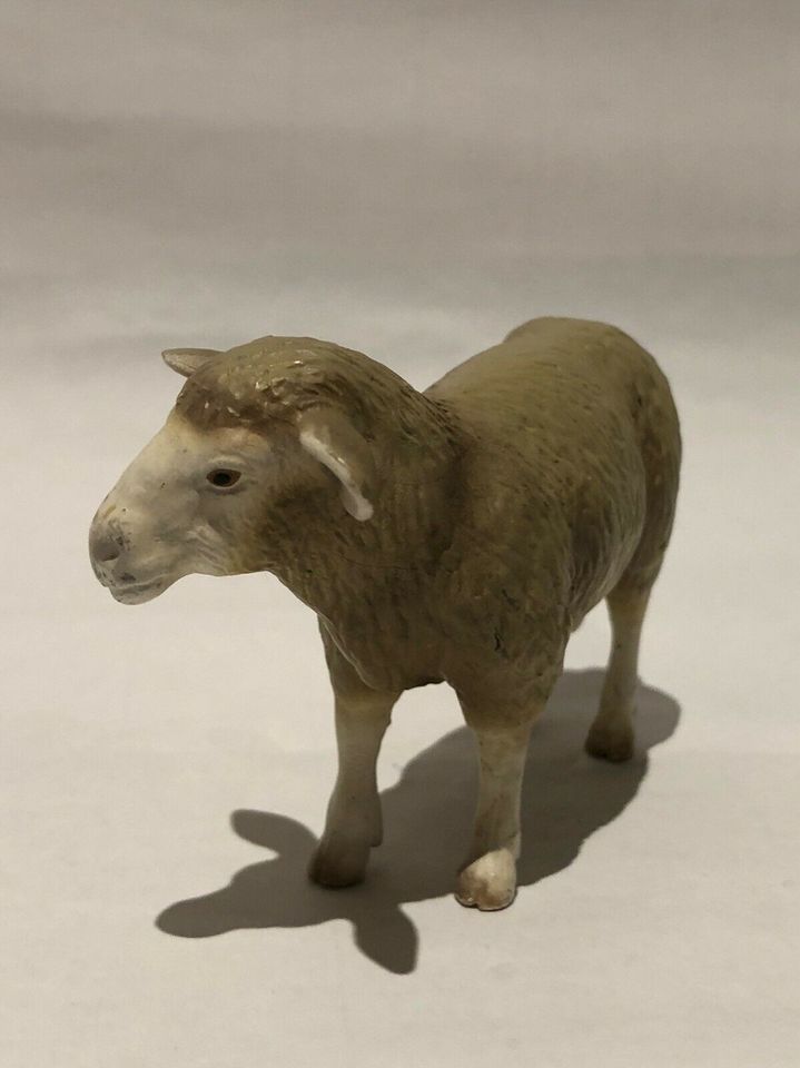 Schleich Schaf 13266 in Didderse