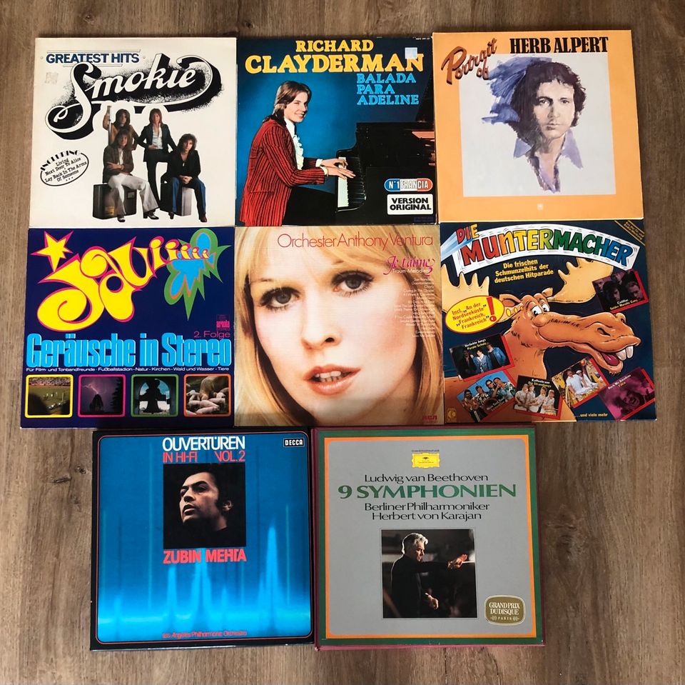 Tolle Schallplattensammlung: Top-Hits, Max Gregor, James Last etc in Lahnstein