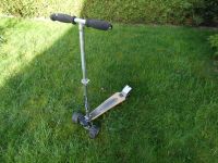 Kickboard Scooter, City Roller QM Hammer Nordrhein-Westfalen - Datteln Vorschau