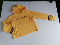 wNEU gelber Pullover Sweatshirt Friends Gr. 158/164 Brandenburg - Brandenburg an der Havel Vorschau