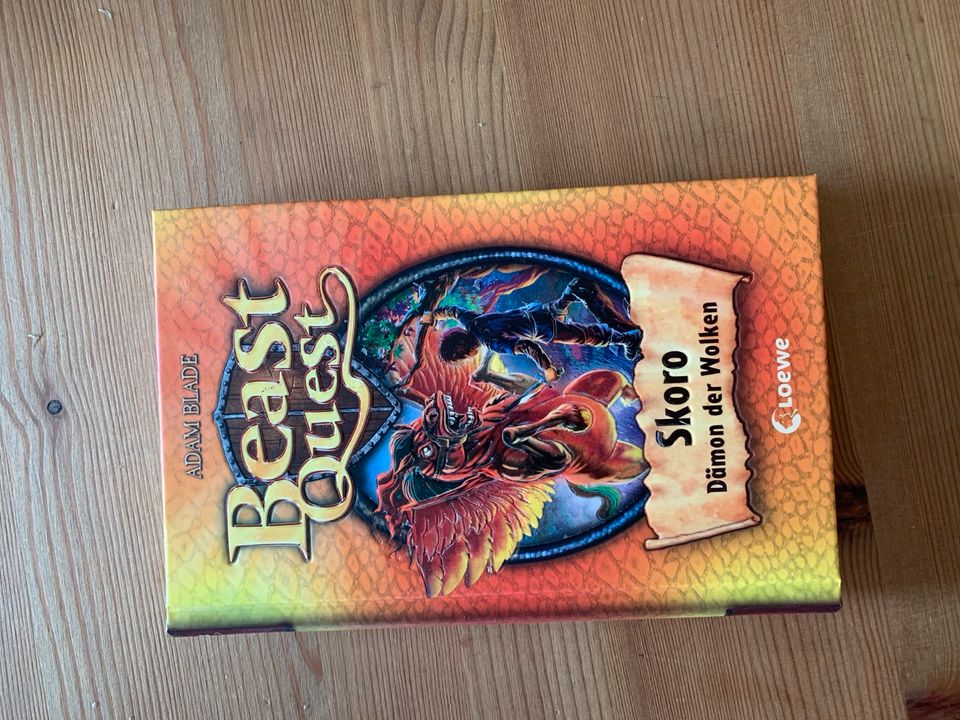 Beast Quest Bücher in Rumohr