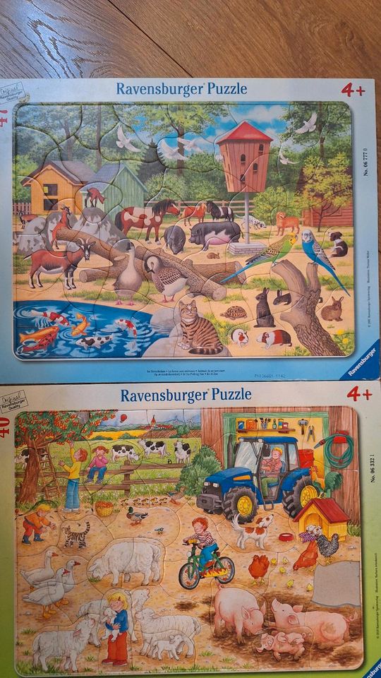Viele super Kinderpuzzles in Nittendorf 