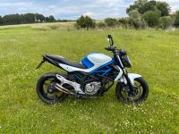 • SUZUKI SFV 650 Gladius • V2 • Naked Bike • ABS Sachsen-Anhalt - Haldensleben Vorschau