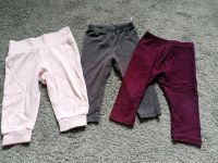 3er Set Leggins Gr. 74 Dresden - Löbtau-Süd Vorschau