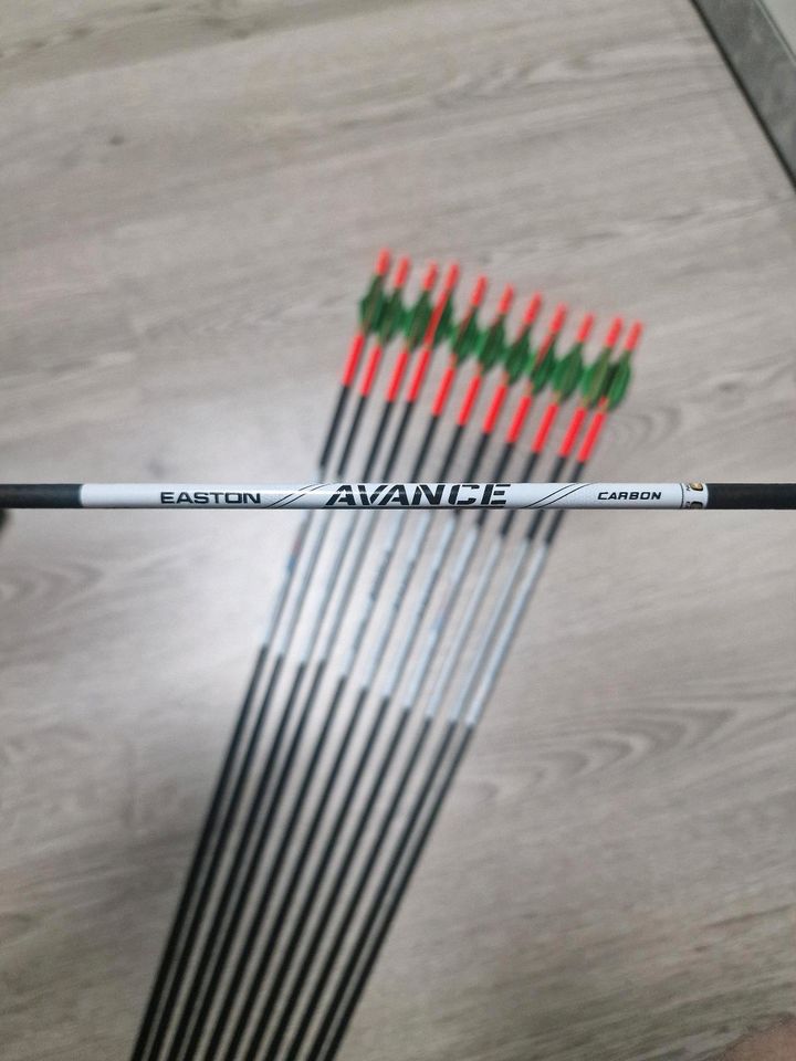 Easton Avance Pfeile, NEU!! in Alsdorf