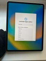 Apple iPad Pro 12.9. Wi-Fi 256 GB Silber (4.G) + Case + Pencil Friedrichshain-Kreuzberg - Kreuzberg Vorschau