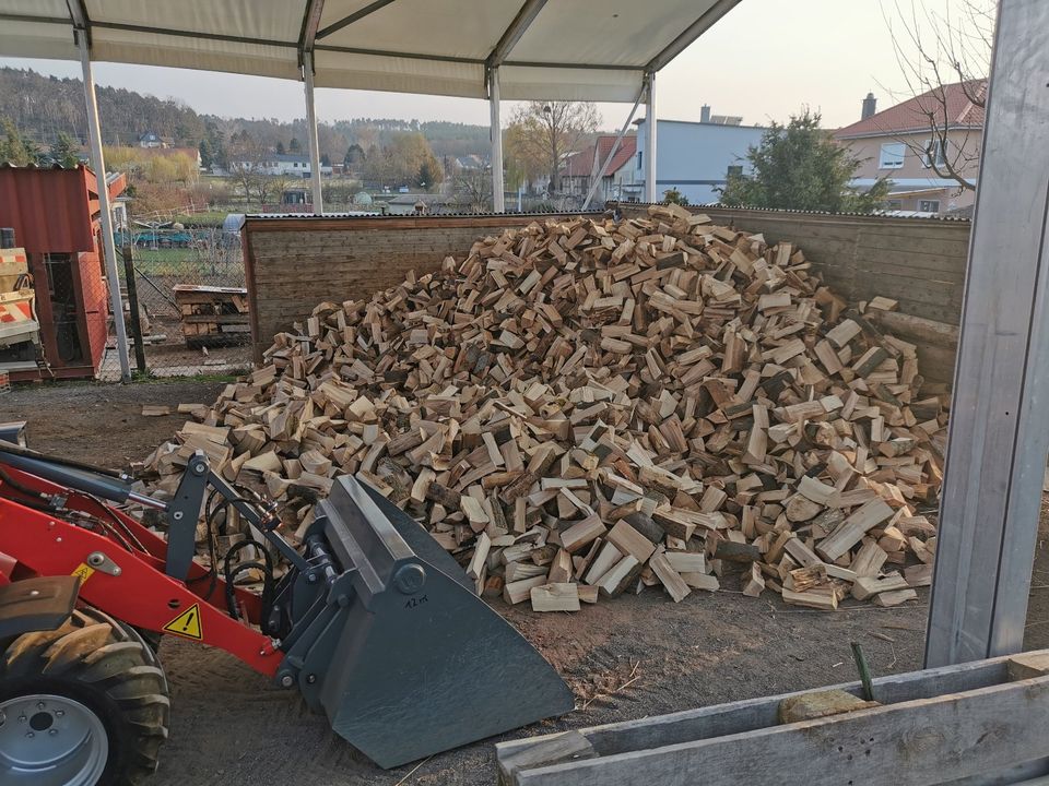 Kaminholz für den nächsten Winter alle Sorten in Thale-Westerhausen