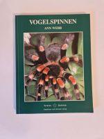 Ann Web - Vogelspinnen Nordrhein-Westfalen - Herne Vorschau