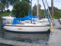 Segelboot Piewiet 700 Sport Nordrhein-Westfalen - Niederkassel Vorschau