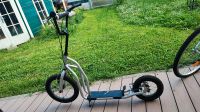 Roller Tigra Air Scooter für Jugendliche und Erwachsene Hessen - Riedstadt Vorschau