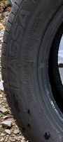 Sommmerreifen - Lassa Greenways 185/60 R14 82H Hessen - Kiedrich Vorschau