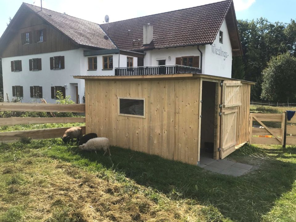 Urlaub im Allgäu in der Natur, Ferienwohnung auf dem Eselhof in Bad Grönenbach