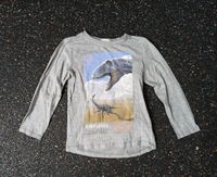 H&M Longsleeve Kids Dinosaurier Shirt Gr. 110/116 Niedersachsen - Weyhe Vorschau
