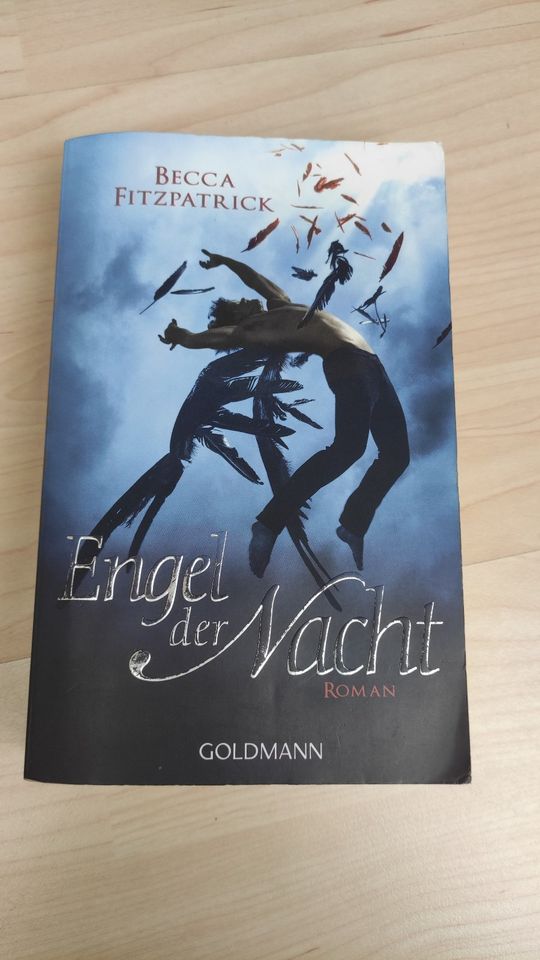 Engel der Nacht - Fitzpatrick in Gerbrunn